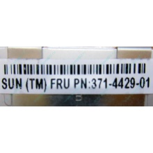 Серверная память SUN (FRU PN 371-4429-01) 4096Mb (4Gb) DDR3 ECC в Сергиевом Посаде, память для сервера SUN FRU P/N 371-4429-01 (Сергиев Посад)