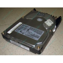 Жесткий диск 18.4Gb Quantum Atlas 10K III U160 SCSI 80 pin (Сергиев Посад)