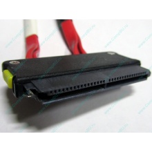 SATA-кабель для корзины HDD HP 451782-001 459190-001 для HP ML310 G5 (Сергиев Посад)