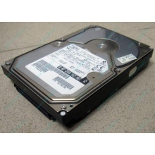 Жесткий диск 18.2Gb IBM Ultrastar DDYS-T18350 Ultra3 80 pin SCSI (Сергиев Посад)