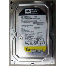 Жесткий диск 160Gb WD WD1602ABKS SATA (Сергиев Посад)