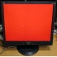 Монитор 19" ViewSonic VA903b (1280x1024) есть битые пиксели (Сергиев Посад)