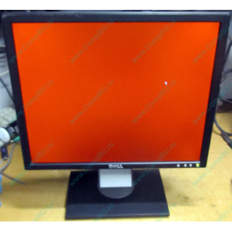 Dell E197F P в Сергиевом Посаде, монитор 19" TFT Dell E197FPb (Сергиев Посад)