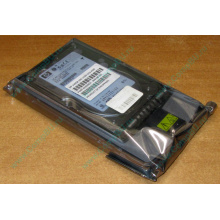 Жёсткий диск 146.8Gb HP 365695-008 404708-001 BD14689BB9 256716-B22 MAW3147NC 10000 rpm Ultra320 Wide SCSI купить в Сергиевом Посаде, цена (Сергиев Посад).