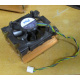 Intel C24751-002 (Сергиев Посад)