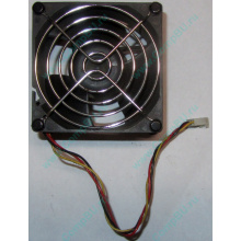 Вентилятор EFB0812HHE IBM 59P23B1 FRU 59P2572 (Сергиев Посад)