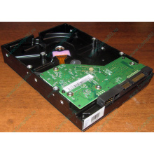 Жесткий диск 500Gb WD WD5000AAKX HP 634605-003 613208-001 7.2k SATA (Сергиев Посад)