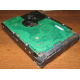Жесткий диск 300Gb 15k Seagate Cheetach ST3300656SS 15K.6 Dell 9CH066-050 6G SAS (Сергиев Посад)